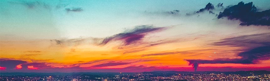 三明茶虫网_三明品茶